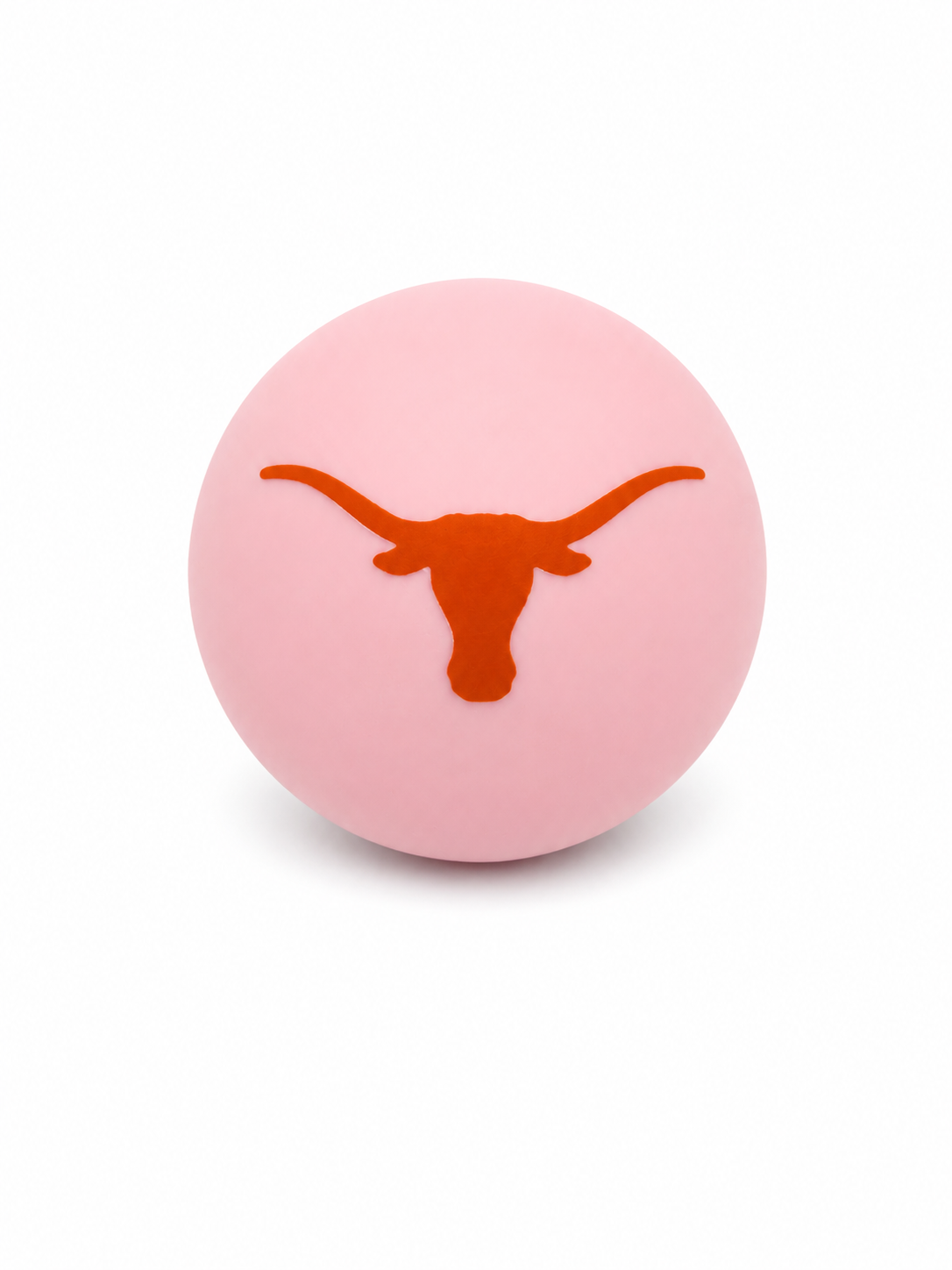 University of Texas - Longhorn