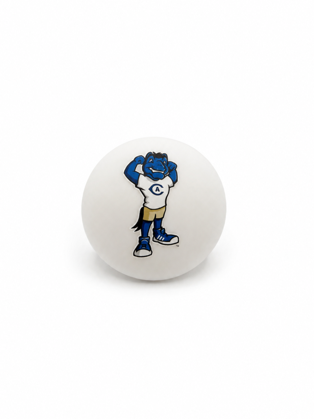 UC Davis Gunrock pacifier cover design