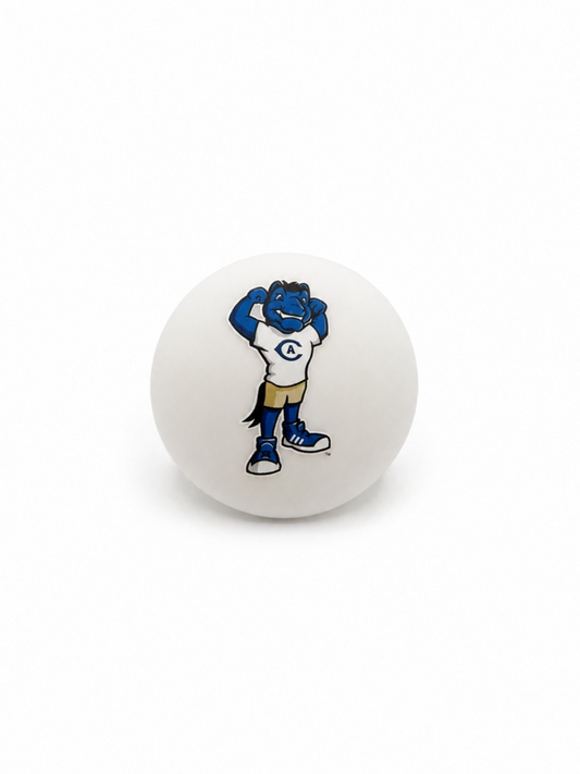 UC Davis Gunrock pacifier cover design