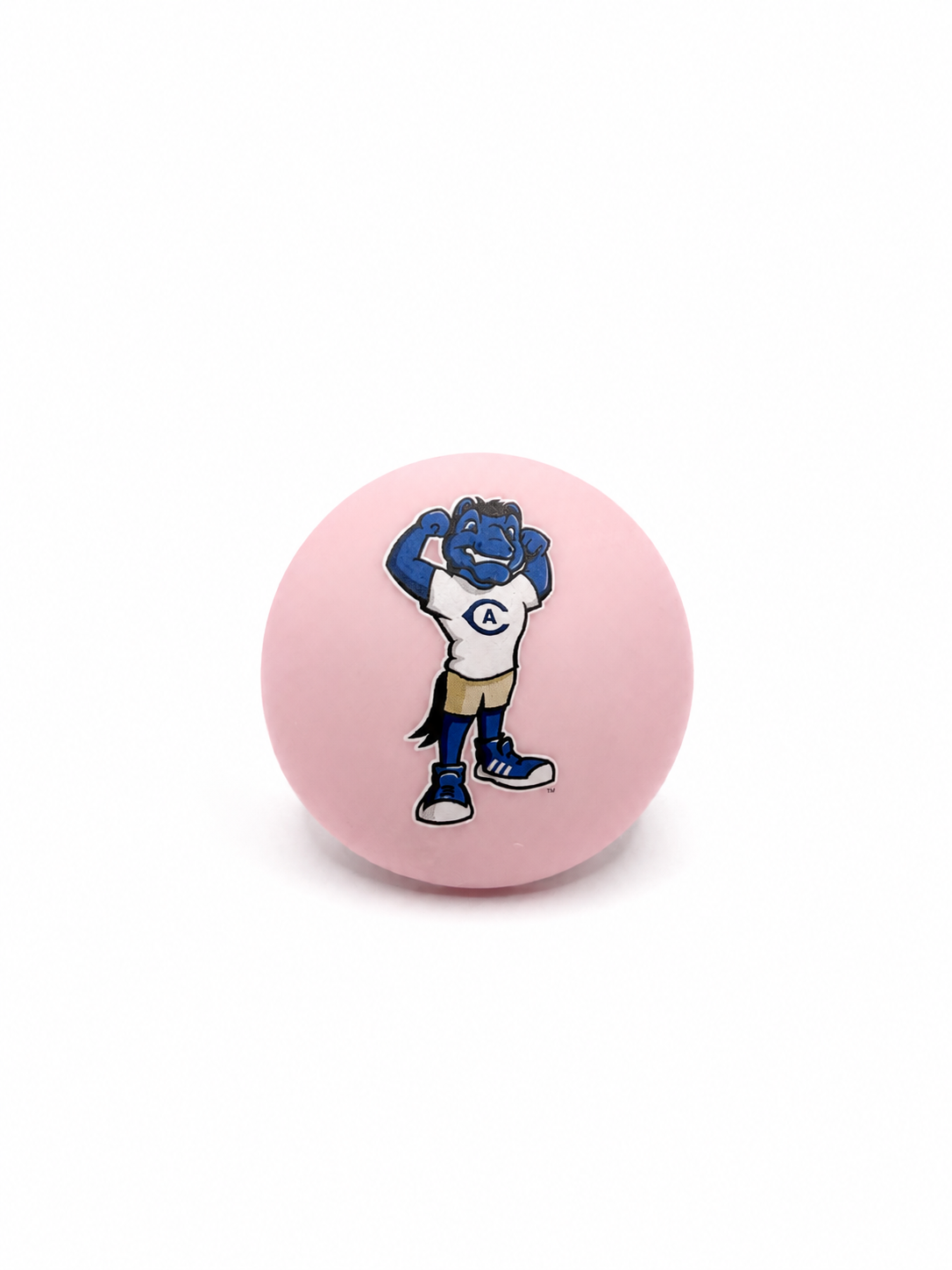 UC Davis Gunrock pacifier cover, close-up view