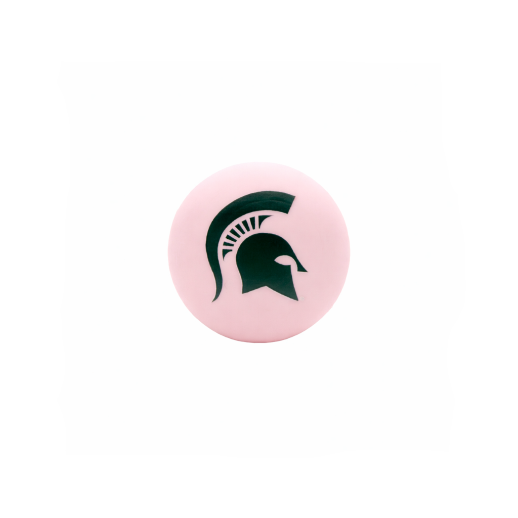 Michigan State - Spartan