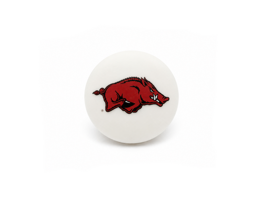 University of Arkansas - Razorback