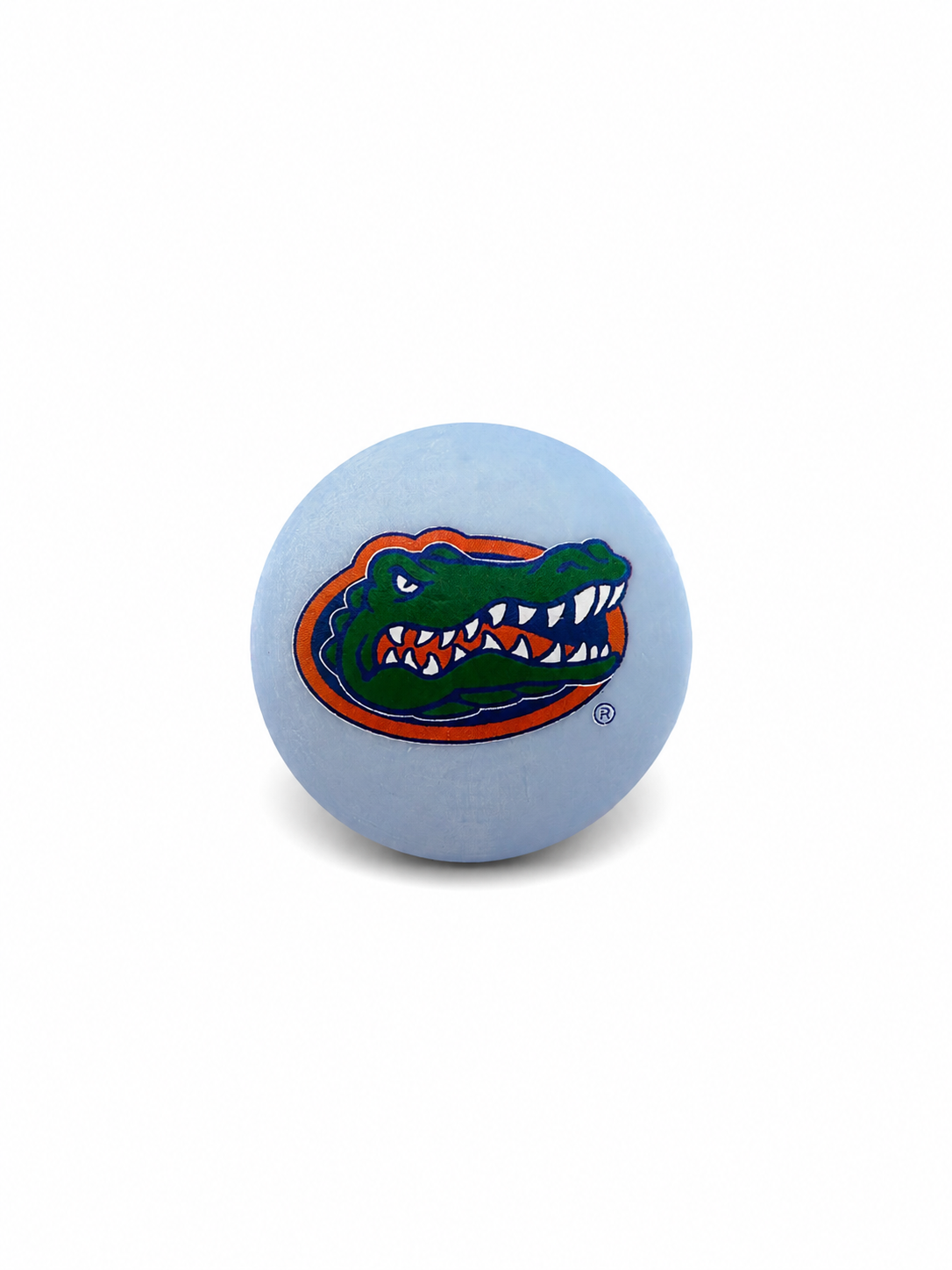 University of Florida - Gator