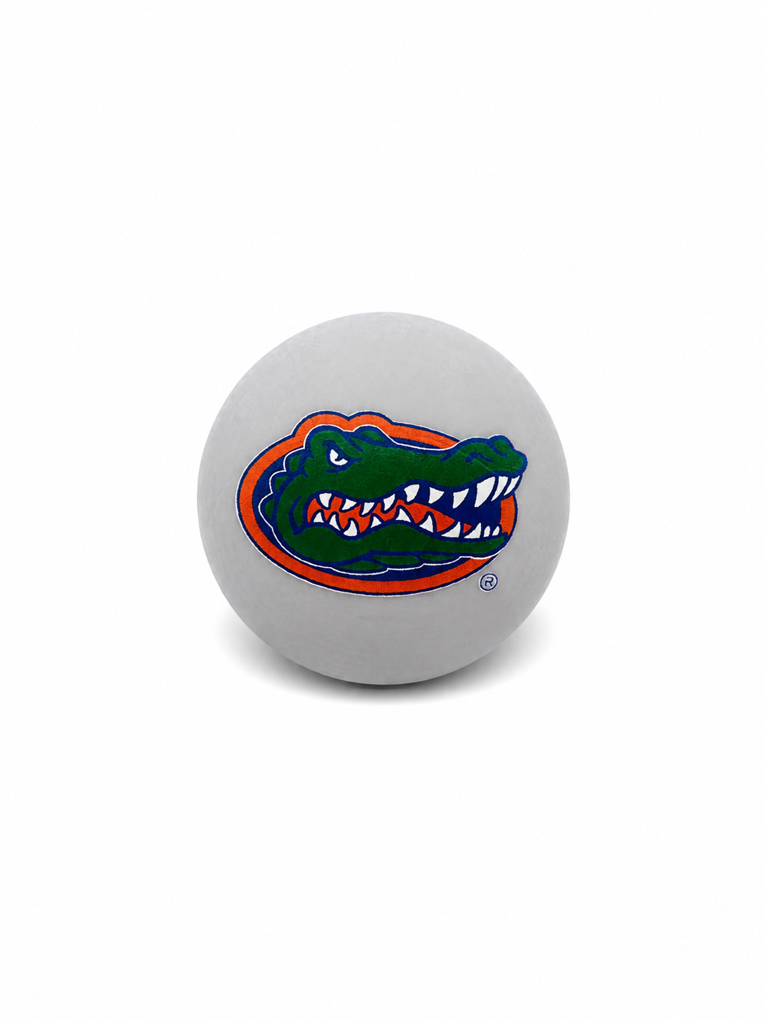 University of Florida - Gator