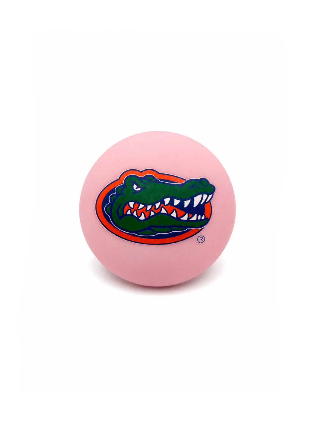 University of Florida - Gator