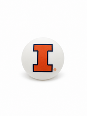 University of Illinois